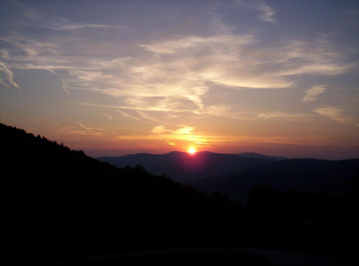 Bayern Ferienland Sonnenwald Διαμέρισμα Schöfweg Εξωτερικό φωτογραφία
