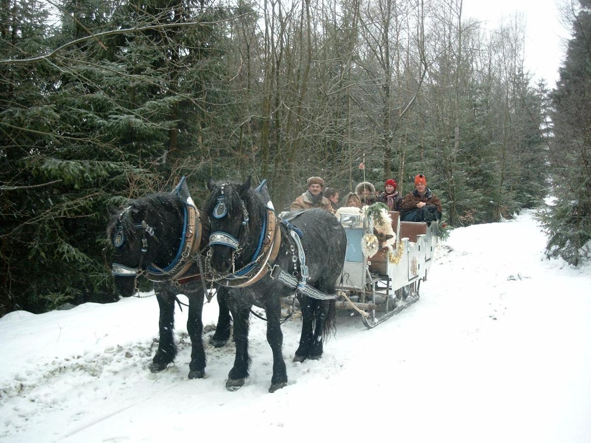 Bayern Ferienland Sonnenwald Διαμέρισμα Schöfweg Εξωτερικό φωτογραφία